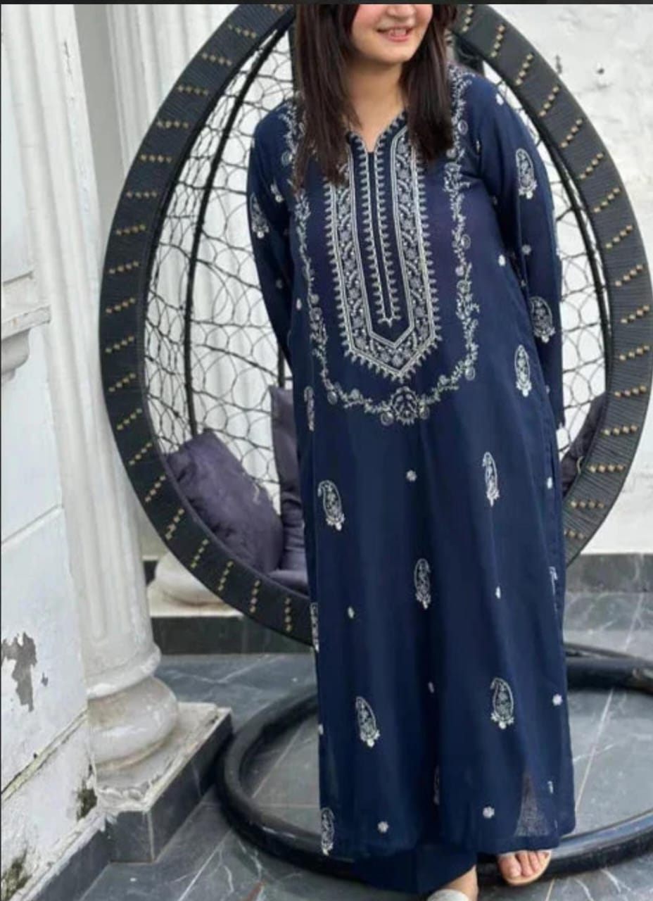 Dhanak 2-Piece Embroidered Suit