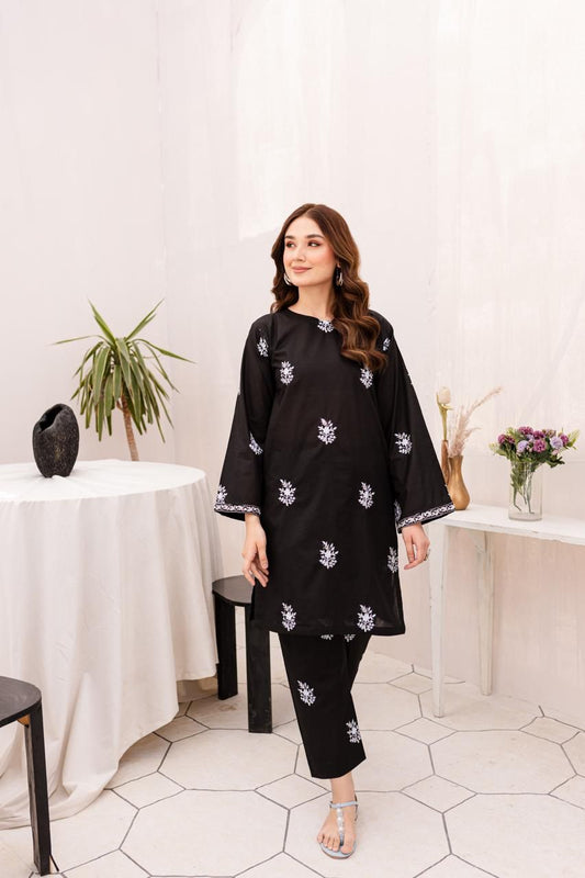 Dhanak 2-Piece Elegantly Heavy Embroidered
