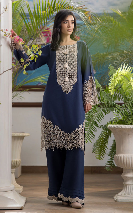 Heavy Embroidered Dhanak