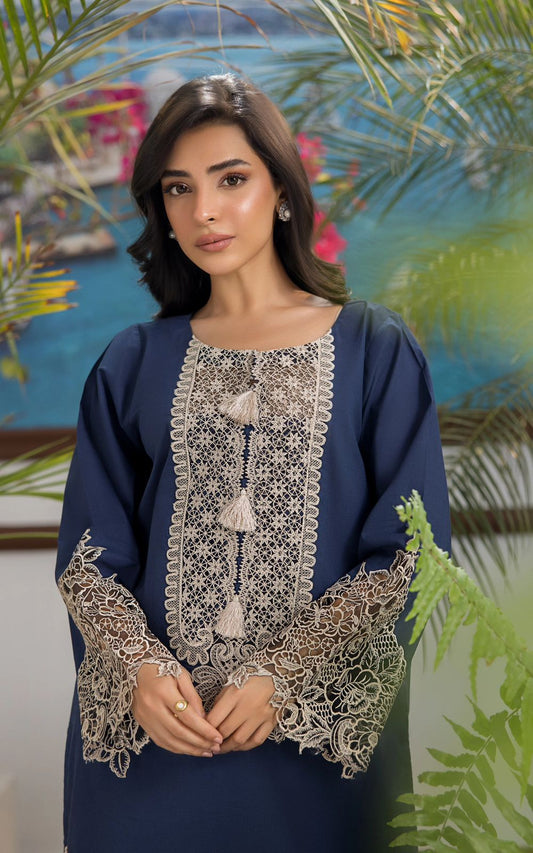 Heavy Embroidered Dhanak